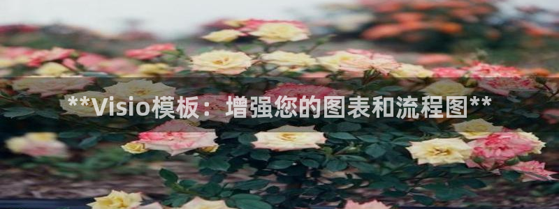 太阳集团的股价是多少：**Visio模板：增强您的图表和流程图**
