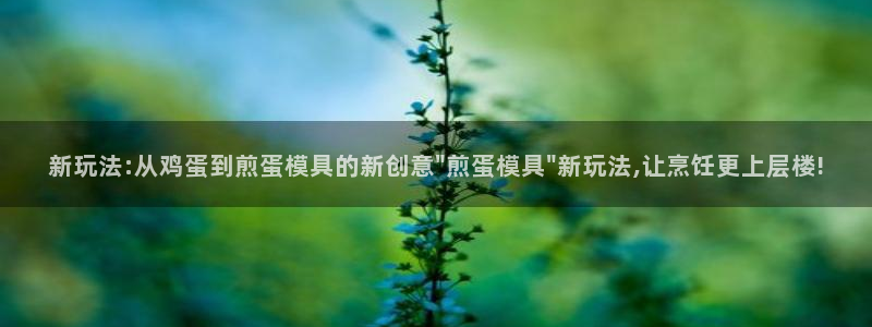 太阳集团入口官网首页：新玩法:从鸡蛋到煎蛋模具的新创意\