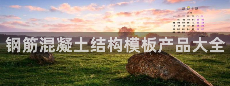 澳门太阳集团老板洗米华：钢筋混凝土结构模板产品大全
