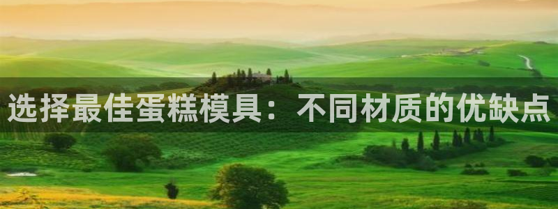 太阳1城集团网址是多少：选择最佳蛋糕模具：不同材质的优缺点