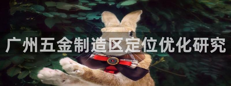 太阳成集团tyc122cc客服：广州五金制造区定位优化研究
