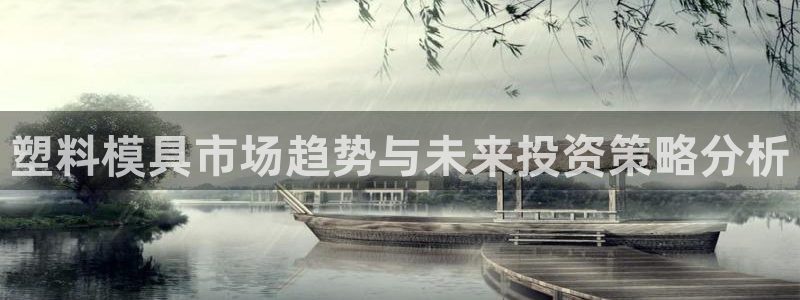 太阳2平台app下载：塑料模具市场趋势与未来投资策略分析