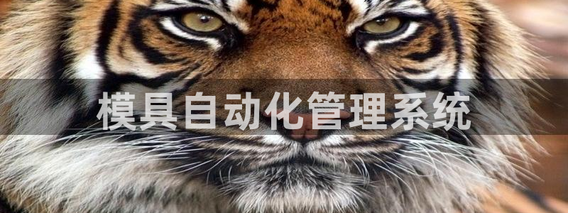 太阳app安卓版：模具自动化管理系统