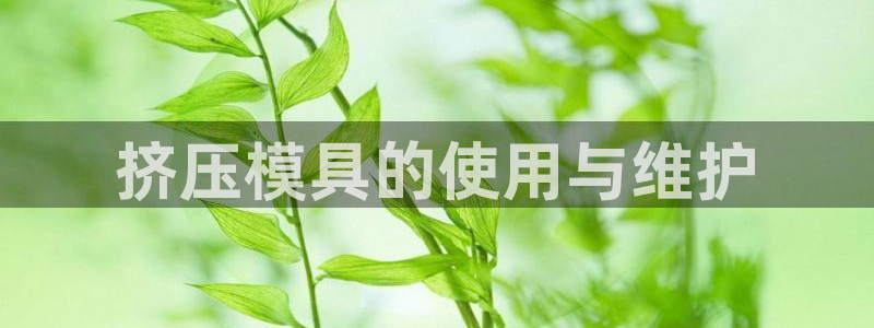 太阳http下载：挤压模具的使用与维护