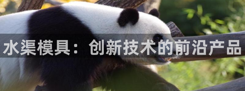 太阳游戏视频：水渠模具：创新技术的前沿产品