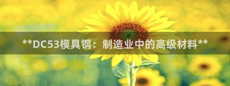 太阳集团2018登录网址查询：**DC53模具钢：制造业中的高级材料**