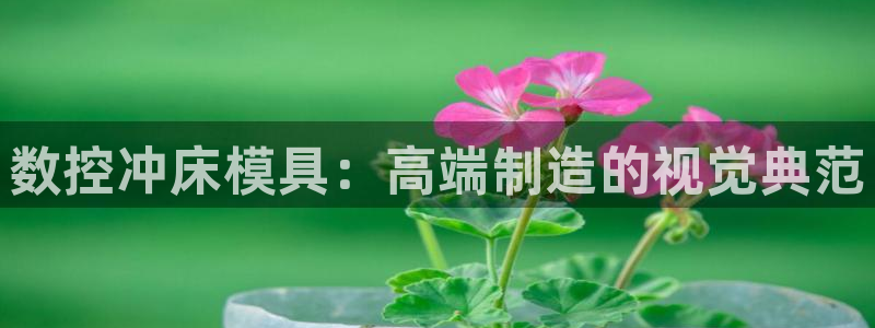 太阳集团城官网