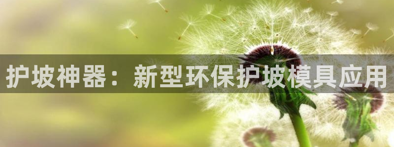 太阳集团电子游戏(中国)有限公司：护坡神器：新型环保护坡模具应用