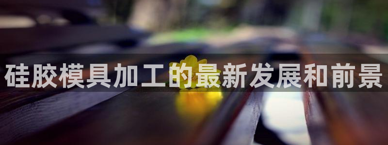 太阳成集团tyc234cc主页网站：硅胶模具加工的最新发展和前景