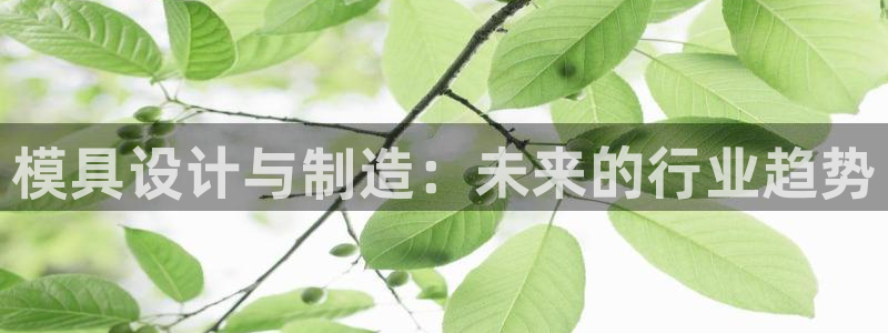 太阳集团的老总是谁：模具设计与制造：未来的行业趋势