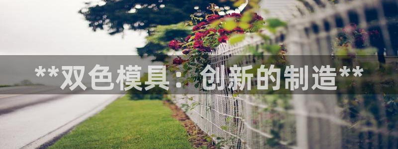 太阳集团股份有限公司：**双色模具：创新的制造**