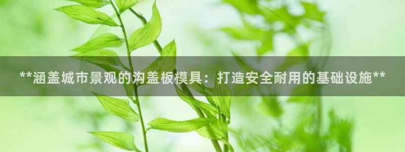 太阳成集团tyc3345：**涵盖城市景观的沟盖板模具：打造安全耐用的基础设施**