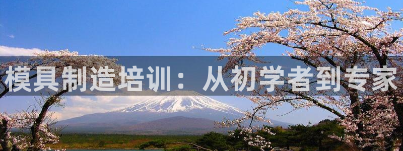 太阳游戏盒子：模具制造培训：从初学者到专家