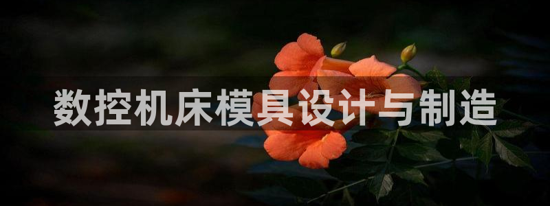 2018太阳集团游戏网站：数控机床模具设计与制造