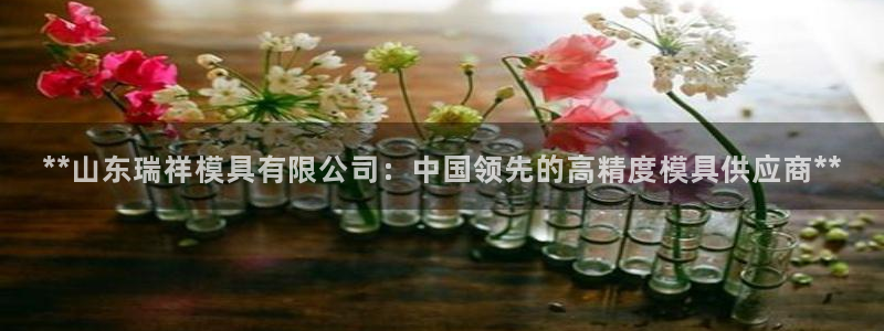 太阳集团城welcome：**山东瑞祥模具有限公司：中国领先的高精度模具供应商**