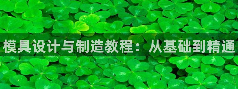 太阳集团洗米华菲律宾：模具设计与制造教程：从基础到精通