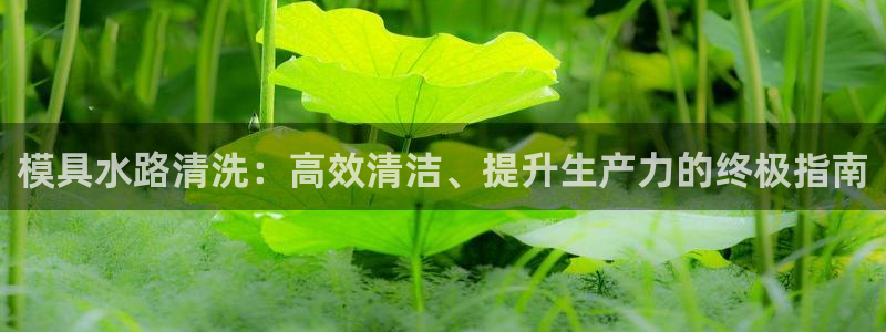 太阳集团游戏平台