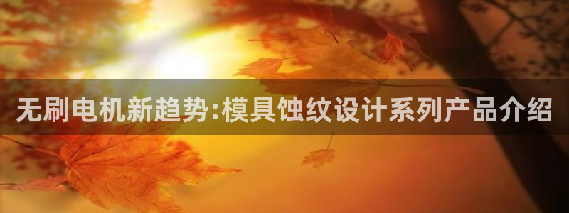 太阳成集团电子游戏：无刷电机新趋势:模具蚀纹设计系列产品介绍