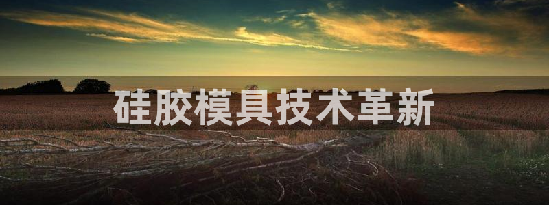 太阳诚集团是干什么的：硅胶模具技术革新