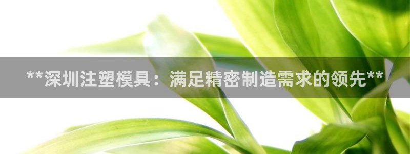 太阳诚集团网址：**深圳注塑模具：满足精密制造需求的领先**