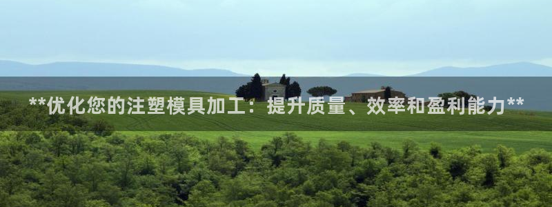 太阳gg平台登陆：**优化您的注塑模具加工：提升质量、效率和盈利能力**