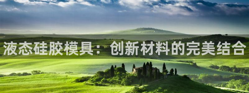 太阳gg官方网站：液态硅胶模具：创新材料的完美结合
