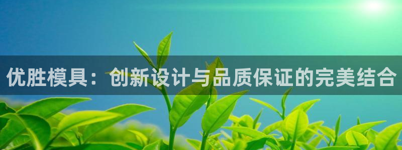 太阳集团电子游戏返还8元：优胜模具：创新设计与品质保证的完美结合