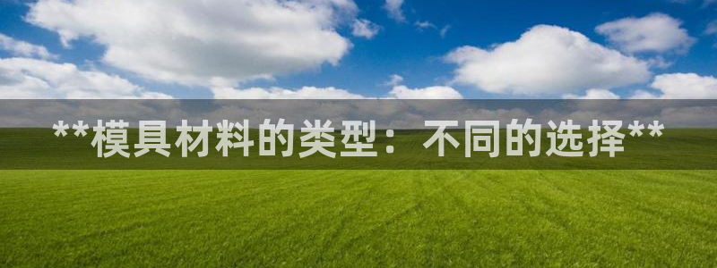 太阳gg登录：**模具材料的类型：不同的选择**