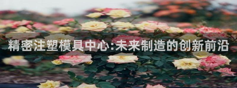 太阳集团股份有限公司：精密注塑模具中心:未来制造的创新前沿
