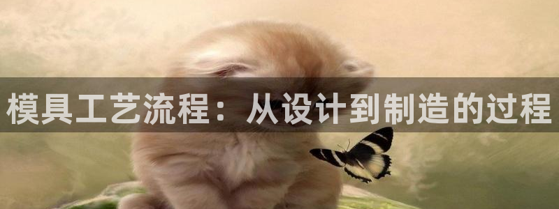 太阳诚集团在线：模具工艺流程：从设计到制造的过程