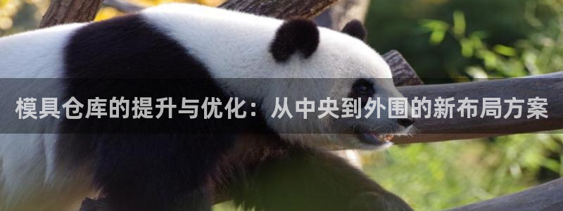 太阳成集团的官方网站：模具仓库的提升与优化：从中央到外围的新布局方案