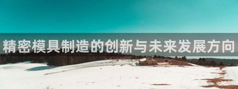 太阳成娱乐app下载：精密模具制造的创新与未来发展方向