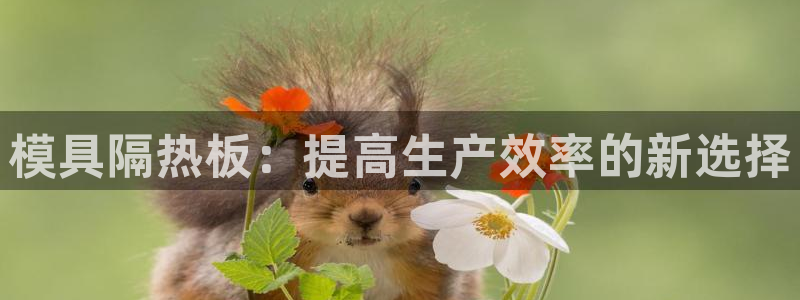 太阳 官网：模具隔热板：提高生产效率的新选择