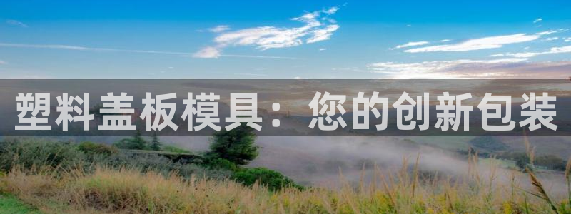 古天乐代言太阳网址：塑料盖板模具：您的创新包装