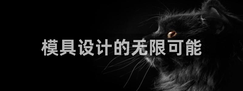 太阳成集团tyc122cc下载：模具设计的无限可能