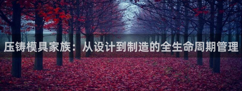 太阳集团网站视频：压铸模具家族：从设计到制造的全生命周期管理