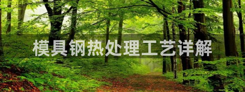 太阳股份有限公司：模具钢热处理工艺详解