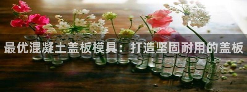 8827太阳集团官网：最优混凝土盖板模具：打造坚固耐用的盖板