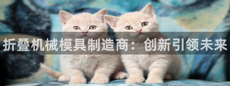 太阳集市网上商城：折叠机械模具制造商：创新引领未来
