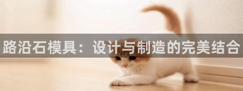 太阳诚集团是什么：路沿石模具：设计与制造的完美结合