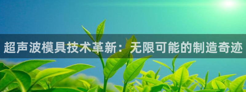 太阳集团app十佳平台怎么样：超声波模具技术革新：无限可能的制造奇迹