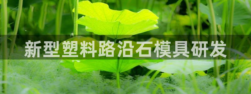 太阳集团2018网址：新型塑料路沿石模具研发