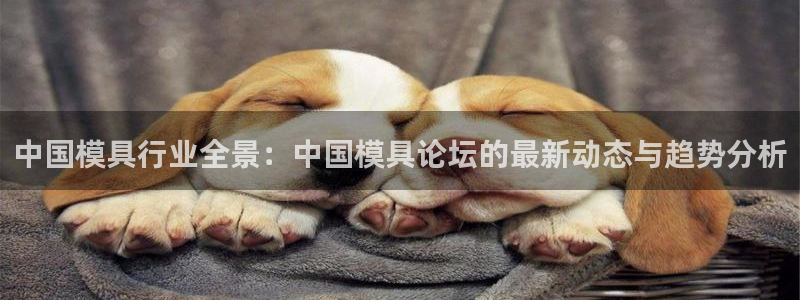太阳成集团不能提现：中国模具行业全景：中国模具论坛的最新动态与趋势分析