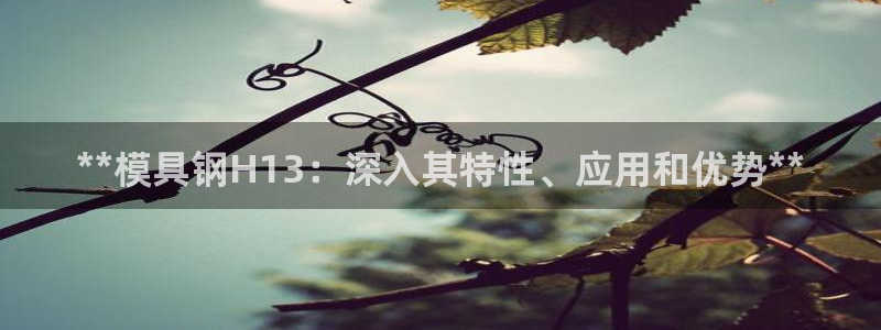 2007so太阳集团下载：**模具钢H13：深入其特性、应用和优势**