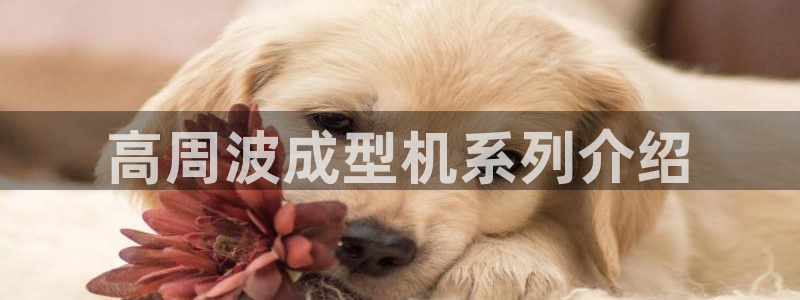太阳集团控股有限公司：高周波成型机系列介绍