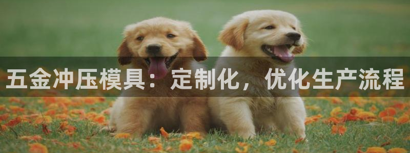 太阳集团网址8722：五金冲压模具：定制化，优化生产流程
