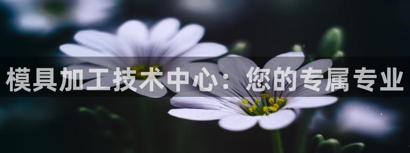 太阳集团1088vip：模具加工技术中心：您的专属专业