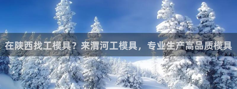 太阳集团2018登录网址是多少：在陕西找工模具？来渭河工模具，专业生产高品质模具