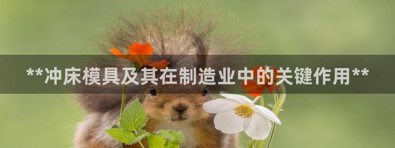 太阳神电子游戏平台：**冲床模具及其在制造业中的关键作用**