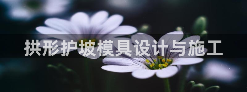 太阳集团游戏城旧版2.1.9：拱形护坡模具设计与施工
